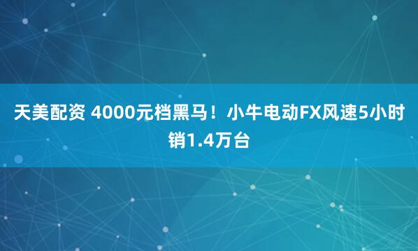 天美配资 4000元档黑马！小牛电动FX风速5小时销1.4万台