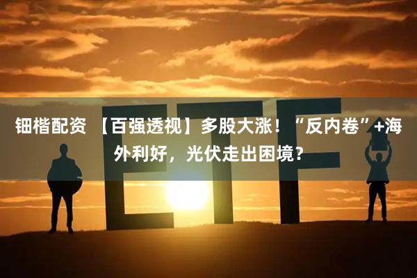 钿楷配资 【百强透视】多股大涨！“反内卷”+海外利好，光伏走出困境？